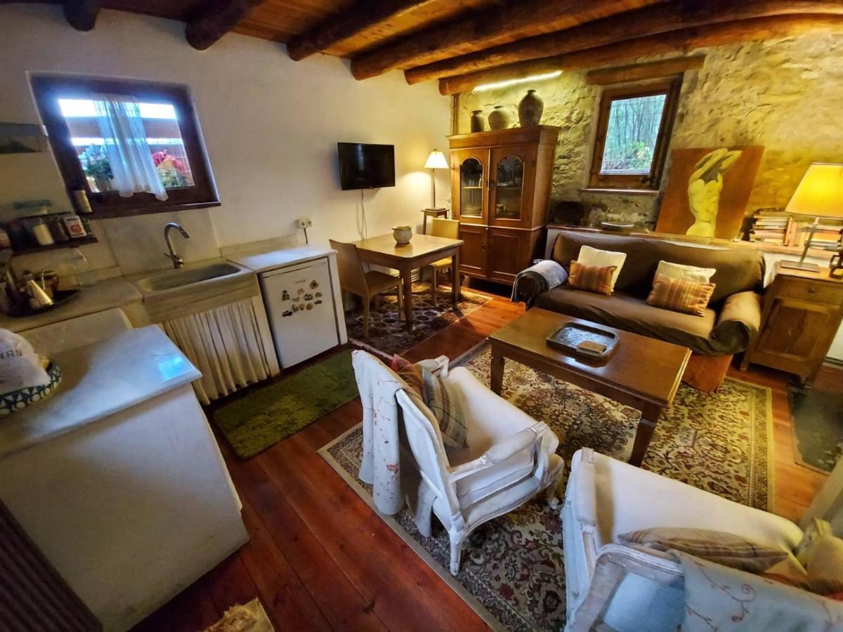 El Solei Paraiso en el Montseny Arbúcies Exterior foto